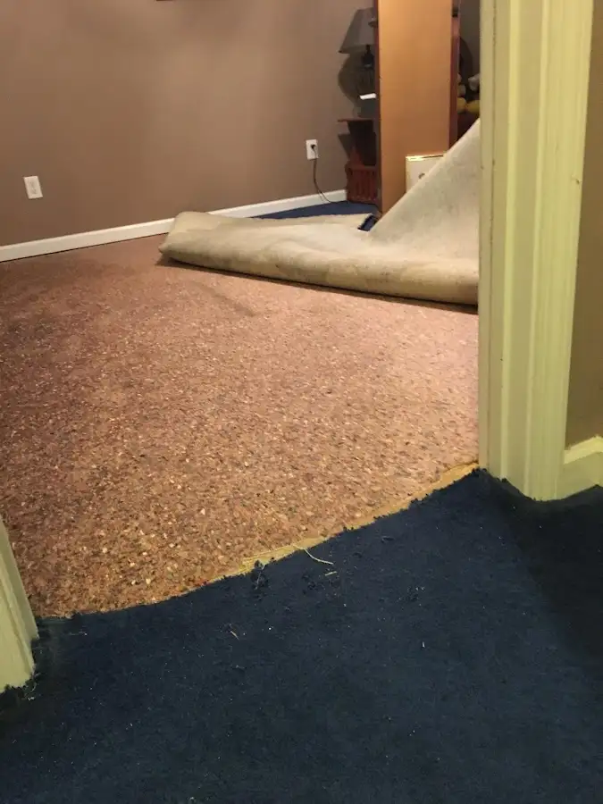 Carpet pad removal revealing water damage during Water Mitigation Services in Berthoud