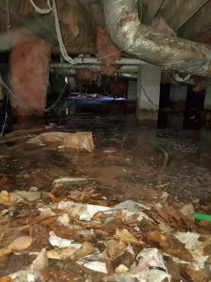 Crawl space flood assessment for Commercial Water Damage Restoration in Berthoud