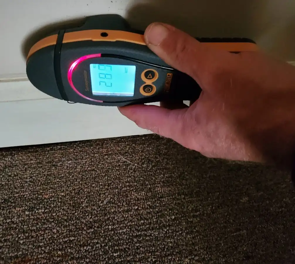 Moisture detection at baseboard during Mold Inspection & Testing in Berthoud